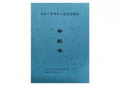 农业产业强镇示范建设项目申报书