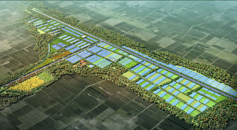 Planning of Juye high efficiency agriculture demonstration area in Heze