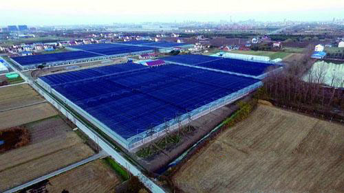 The construction of the core area of modern agricultural park in Rudong high tech Zone was accelerat