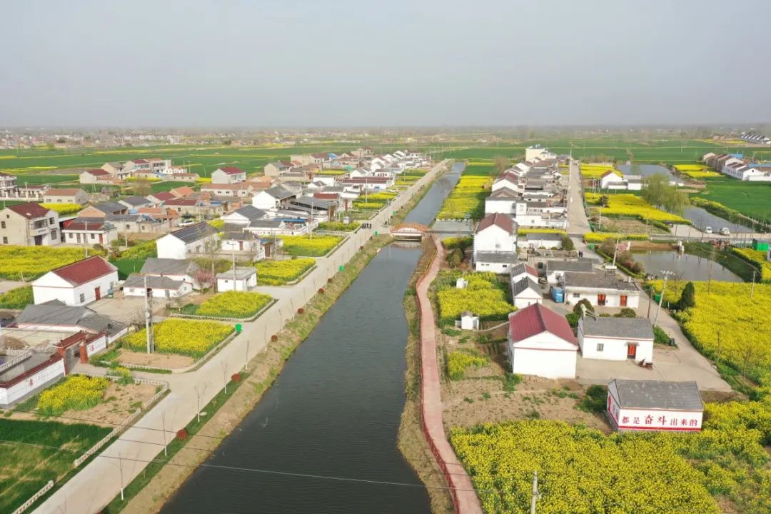 淮安市推进特色田园乡村规划建设