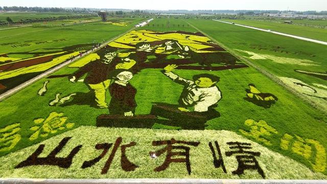  稻田艺术画设计与制作全流程解析