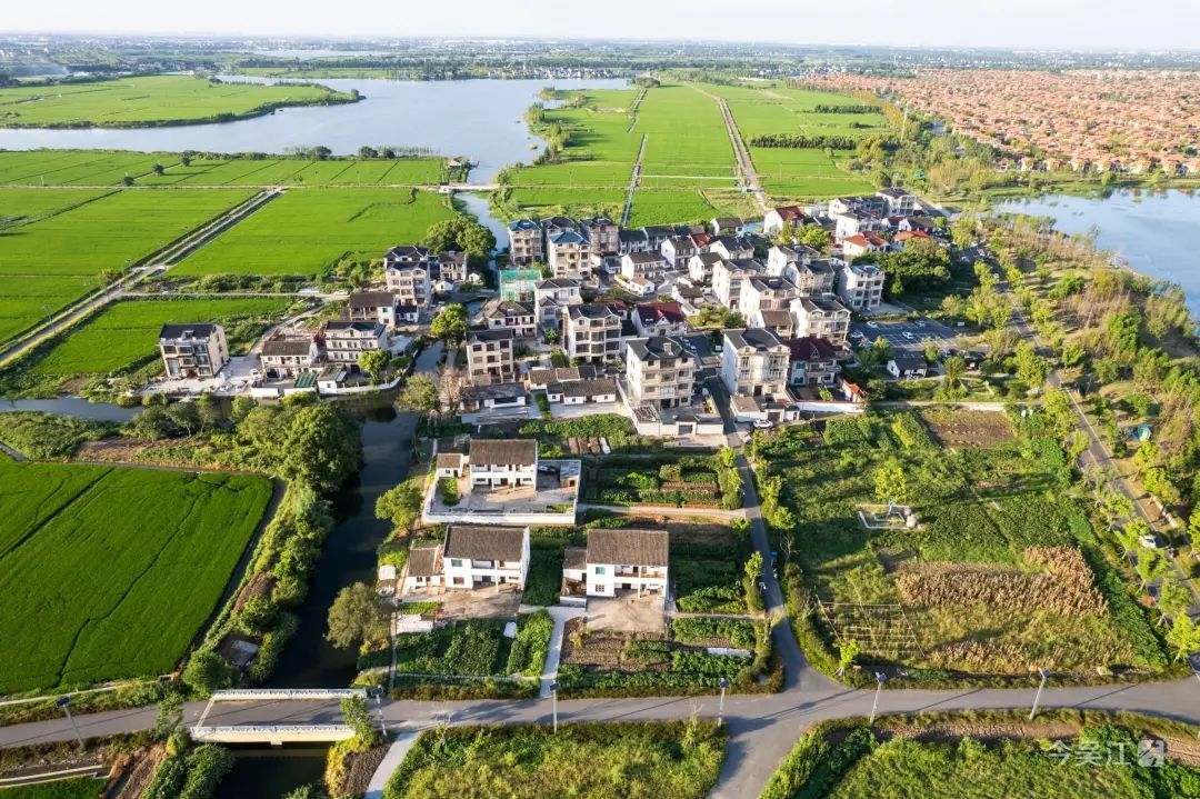 乡村抱团共谋发展共享红利 江苏苏州吴江书写“江村经济”新篇章