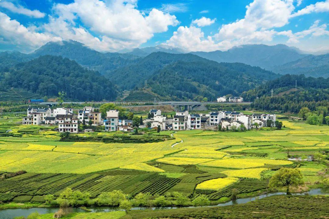 “十四五”时期,农业农村高质量发展成就显著