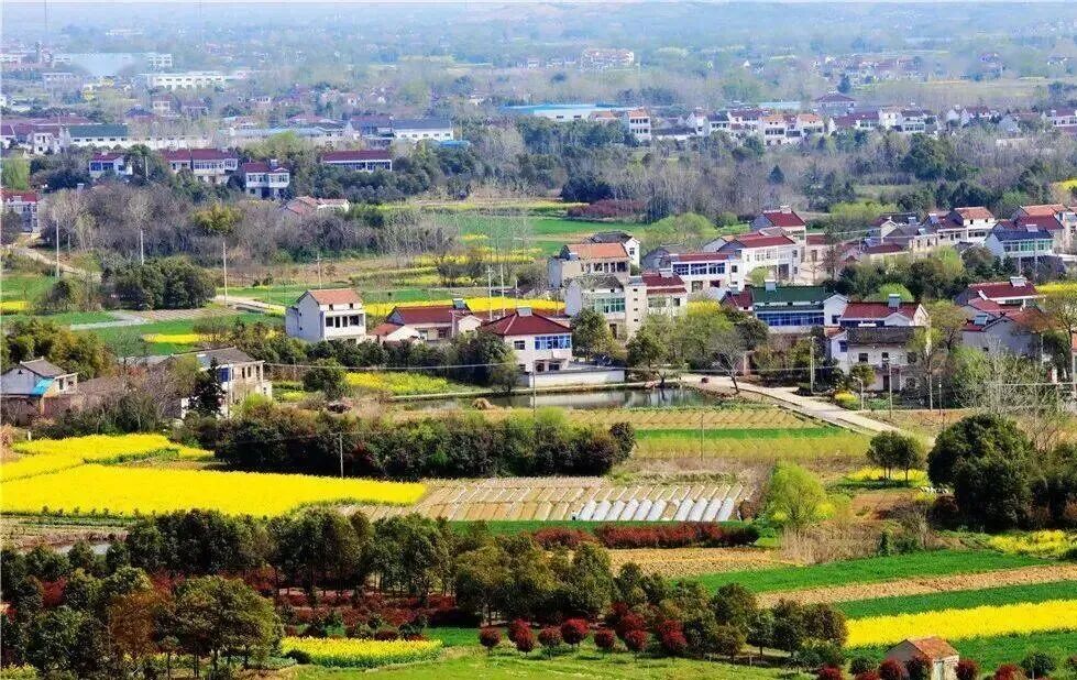 从"穷山村"到"亿元村"—探秘宜兴白塔村的乡村振兴蝶变之路(图4)