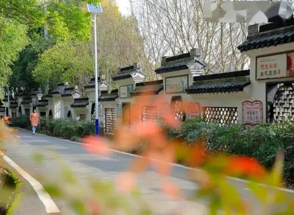 从"穷山村"到"亿元村"—探秘宜兴白塔村的乡村振兴蝶变之路(图12)
