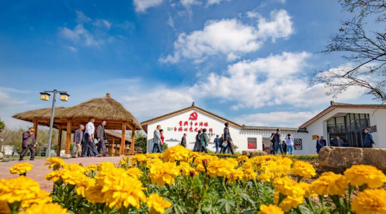 从"穷山村"到"亿元村"—探秘宜兴白塔村的乡村振兴蝶变之路(图14)