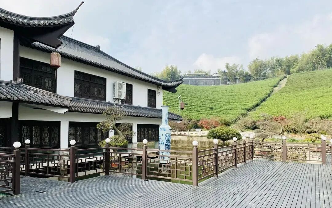 从"穷山村"到"亿元村"—探秘宜兴白塔村的乡村振兴蝶变之路(图16)