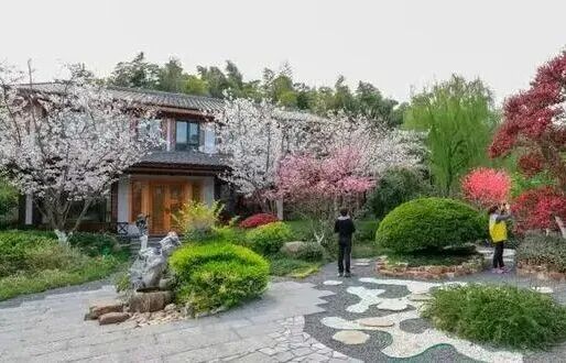 从"穷山村"到"亿元村"—探秘宜兴白塔村的乡村振兴蝶变之路(图18)