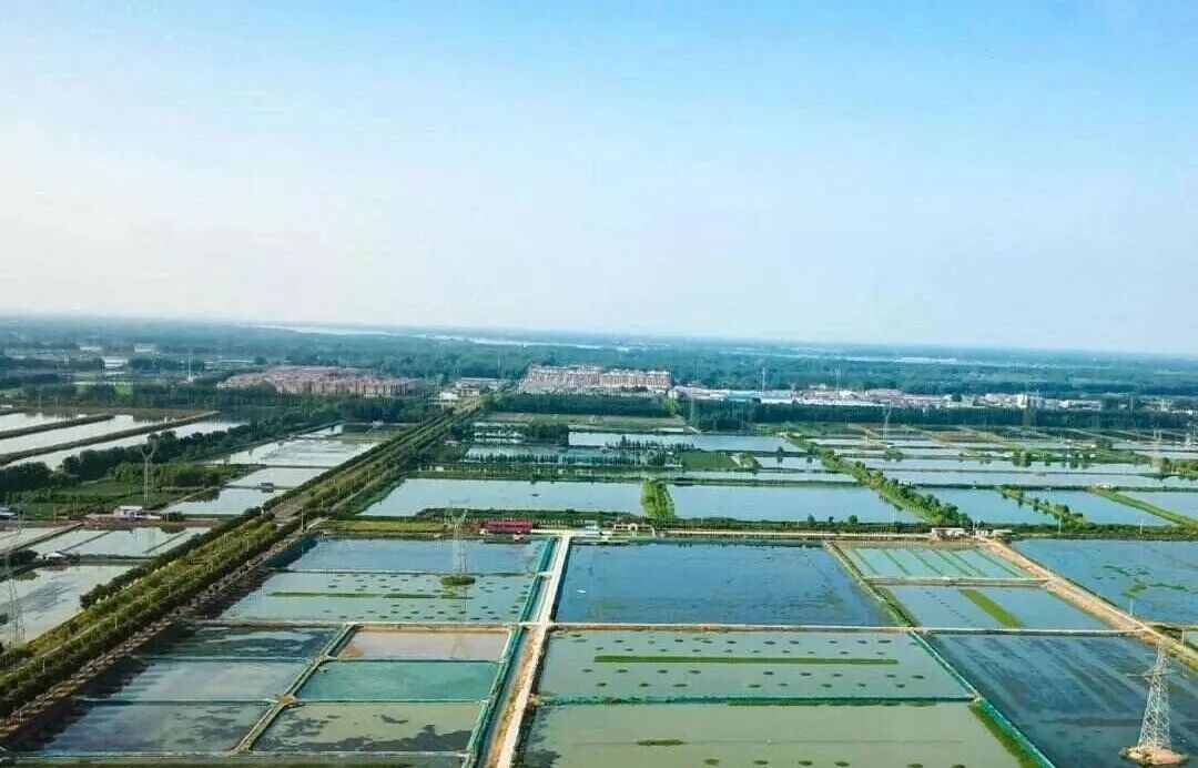从霸王虞姬出圈,看农文旅融合下的乡村新活力(图9)