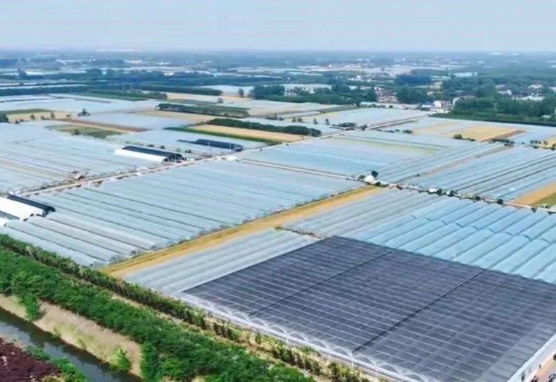 从霸王虞姬出圈,看农文旅融合下的乡村新活力(图11)