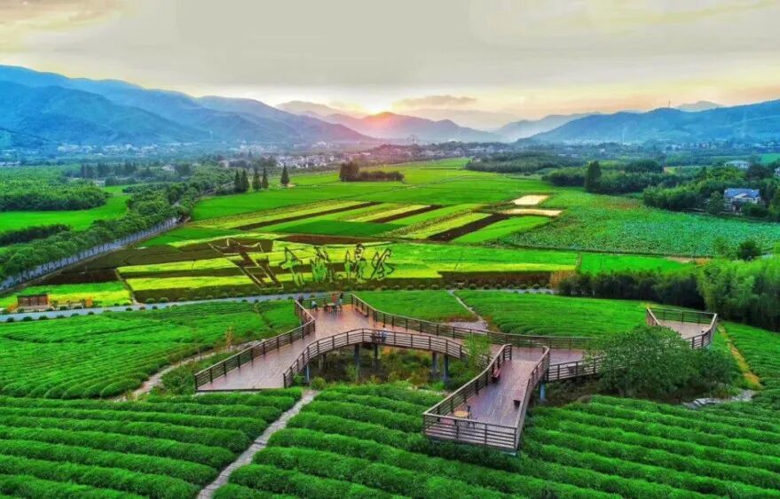 从霸王虞姬出圈,看农文旅融合下的乡村新活力(图22)