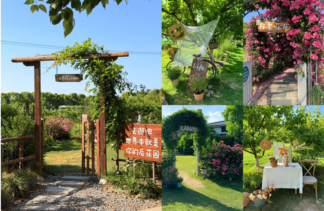 乡村振兴范本｜火遍上海近郊！这座农场完成逆袭，藏着田园经济新玩法