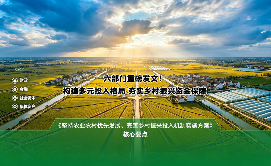 六部门重磅发文！乡村振兴“钱袋子”机制全面升级，读懂农业农村优先发展新布局