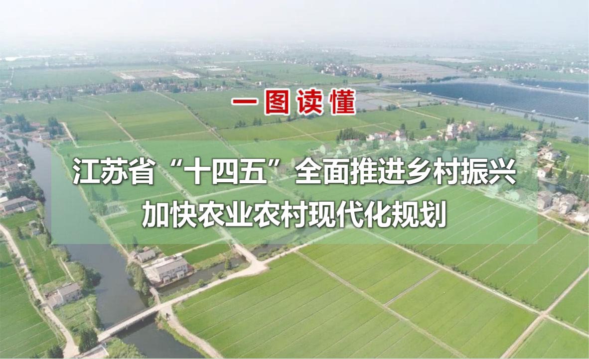 江苏省“十四五”全面推进乡村振兴加快农业农村现代化